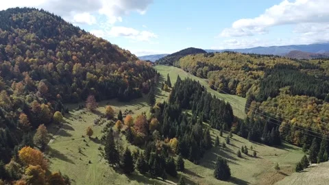 Aerial view mountain forest Vídeo Stock 217440215