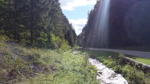 Aerial view mountain forest Vídeo Stock 217440249