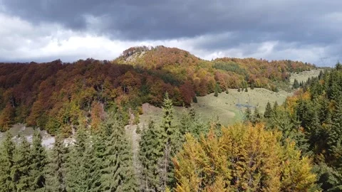 Aerial view mountain forest Stock-Footage 217440256