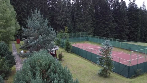 Aerial view mountain forest Stock-Footage 217440286