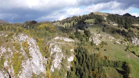 Aerial view mountain forest Vídeo Stock 217440334