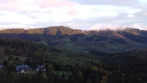 Aerial view mountain forest Vídeo Stock 217440460