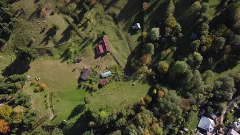 Aerial view mountain forest Stock-Footage 217440504