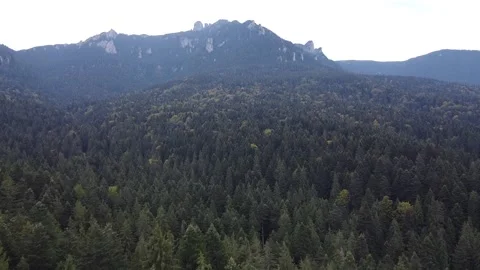Aerial view mountain forest Stock-Footage 217440618