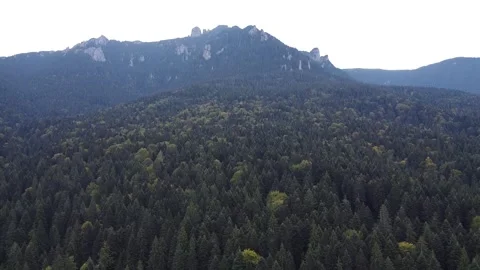 Aerial view mountain forest Stock-Footage 217440626