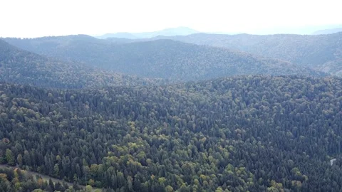 Aerial view mountain forest Vídeo Stock 217440836