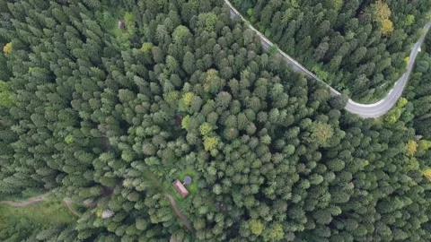 Aerial view mountain forest Stock-Footage 217440927