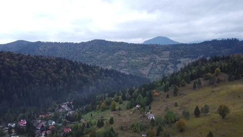 Aerial view mountain forest Stock-Footage 217440953