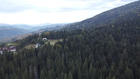 Aerial view mountain forest Stock-Footage 217441035