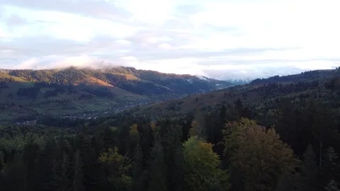 Aerial view mountain forest Stock-Footage 217441112