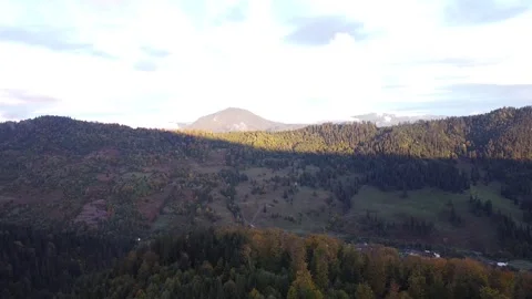Aerial view mountain forest Stock-Footage 217441198