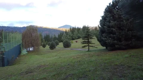 Aerial view mountain forest Stock-Footage 217441217