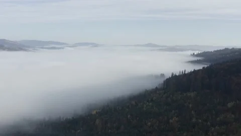 Aerial view mountain forest Stock-Footage 218771709