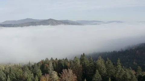 Aerial view mountain forest Stock-Footage 218771721