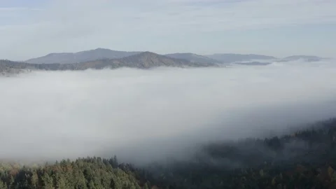 Aerial view mountain forest Stock-Footage 218771778