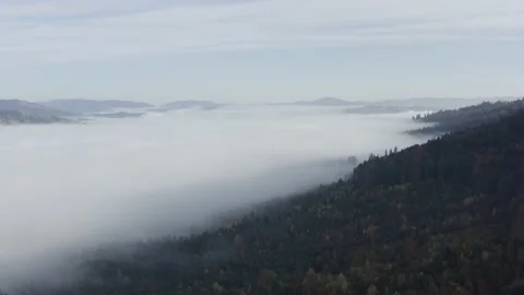 Aerial view mountain forest Stock-Footage 218771801