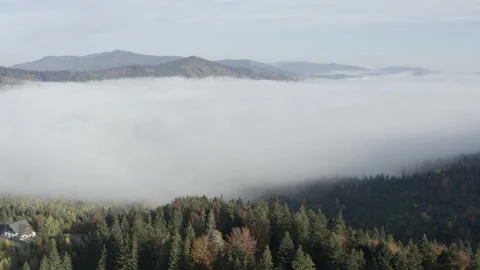 Aerial view mountain forest Stock-Footage 218771888