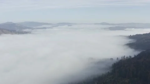 Aerial view mountain forest Stock-Footage 218772238