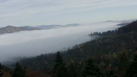 Aerial view mountain forest Stock-Footage 218772505