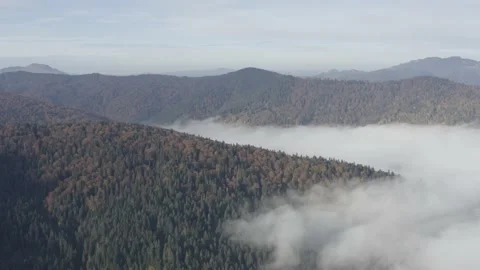Aerial view mountain forest Stock-Footage 218772599