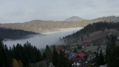 Aerial view mountain forest Stock-Footage 218772750