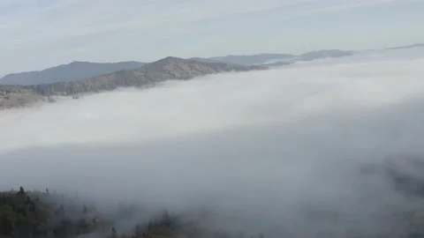 Aerial view mountain forest Stock-Footage 218772751