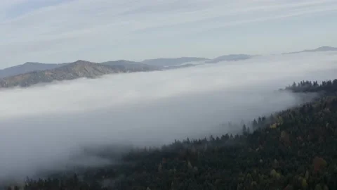 Aerial view mountain forest Stock-Footage 218772842