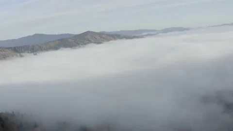 Aerial view mountain forest Stock-Footage 218772966