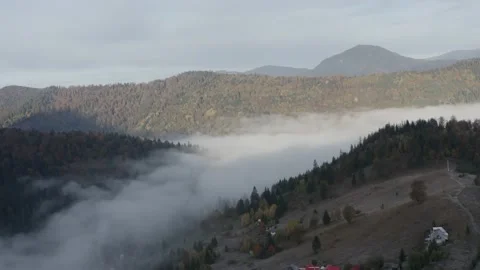 Aerial view mountain forest Stock-Footage 218773011