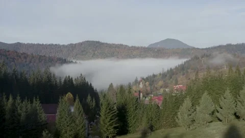 Aerial view mountain forest Stock-Footage 218773106