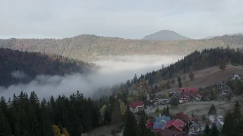 Aerial view mountain forest Stock-Footage 218773519