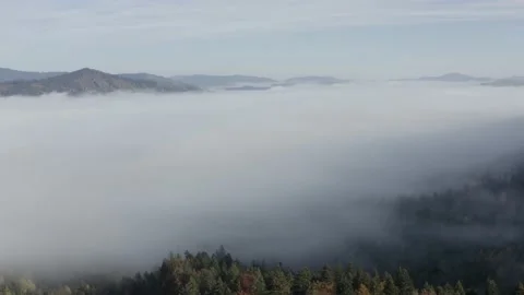 Aerial view mountain forest Stock-Footage 218773552