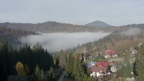 Aerial view mountain forest Stock-Footage 218773758