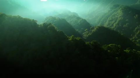 Aerial view of mountain with forest hills in Ngadas, East Java, Indonesia Vídeos de archivo 318902753