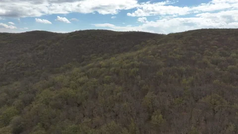 Aerial View of Mountain Forest Landscape Under Blue Sky with White Clouds Stockbeeldmateriaal 332173020