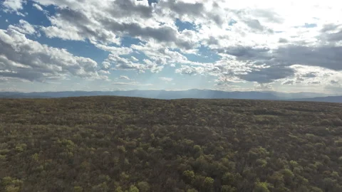 Aerial View of Mountain Forest Landscape Under Blue Sky with White Clouds Video stock 332188972