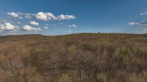 Aerial View of Mountain Forest Landscape Under Blue Sky with White Clouds Video stock 332189361