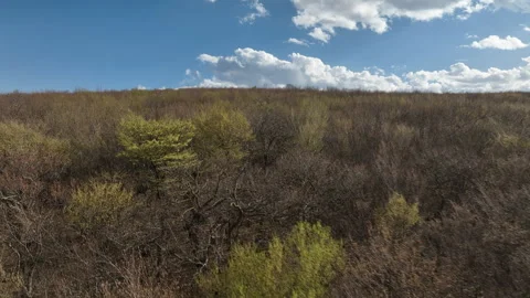 Aerial View of Mountain Forest Landscape Under Blue Sky with White Clouds Video stock 332191129