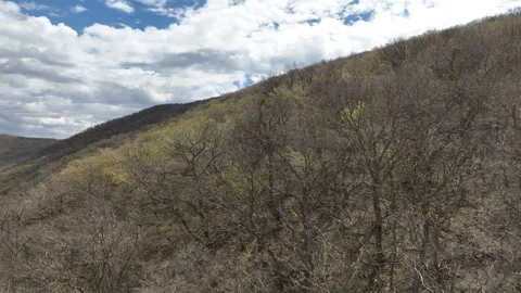 Aerial View of Mountain Forest Landscape Under Blue Sky with White Clouds Video stock 332191672