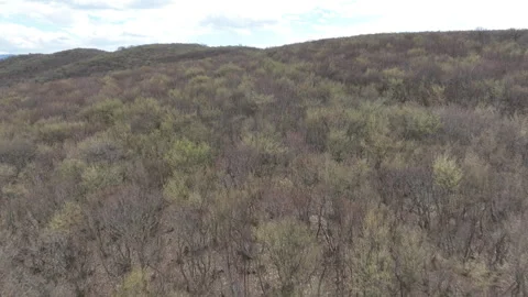 Aerial View of Mountain Forest Landscape Under Blue Sky with White Clouds Video stock 332192464