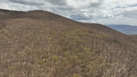 Aerial View of Mountain Forest Landscape Under Blue Sky with White Clouds Video stock 332197796