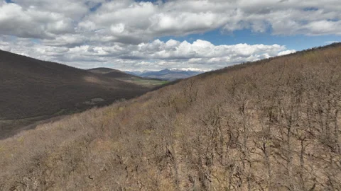 Aerial View of Mountain Forest Landscape Under Blue Sky with White Clouds Video stock 332200251