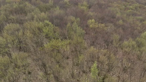 Aerial View of Mountain Forest Landscape Under Blue Sky with White Clouds Video stock 332248941