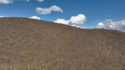 Aerial View of Mountain Forest Landscape Under Blue Sky with White Clouds Video stock 332248991