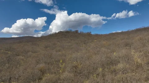Aerial View of Mountain Forest Landscape Under Blue Sky with White Clouds Video stock 332249248