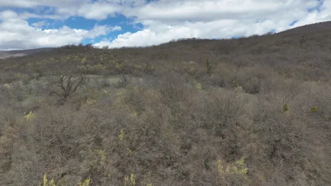Aerial View of Mountain Forest Landscape Under Blue Sky with White Clouds Video stock 332249306