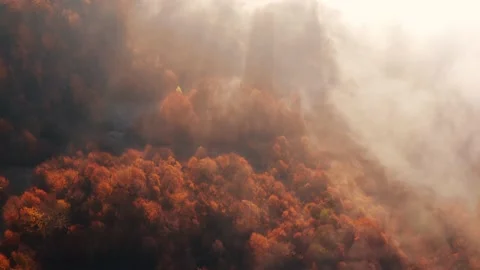 Aerial view of mountain forest in low clouds at sunrise in autumn Stock Footage 193027190