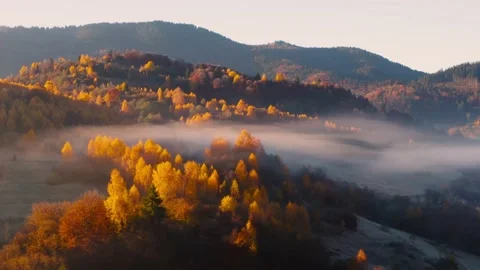 Aerial view of mountain forest in low clouds at sunrise in autumn Stock Footage 193036670
