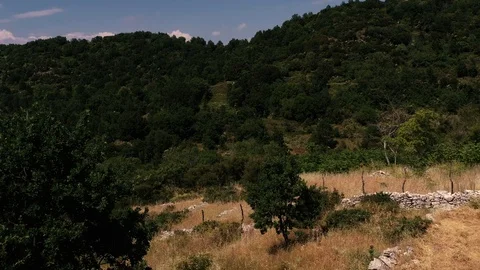 Aerial view of Mountain forest in Perithia, Greece Stock Footage 112001346