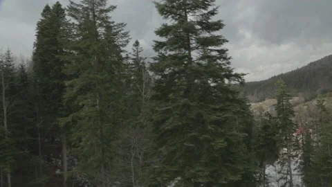 Aerial view mountain forest in Romania Stock Footage 146135437